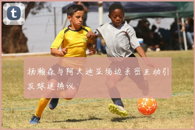 杨瀚森与阿夫迪亚场边亲密互动引发球迷热议
